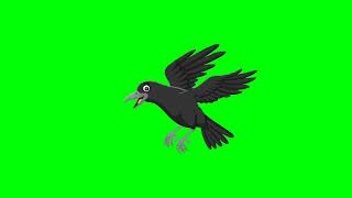 Green screen crow | crow talking | Green Screen character| Crow Flying.