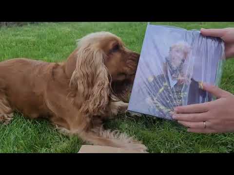 Look! Robby's reaction to the portrait from Furryroyal