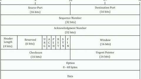 TCP header format