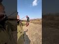 F20  Dual-Mode Compound Bow Night Vision Test｜Steel Balls &amp; Arrows #archery #dodgebow #sports #fyp