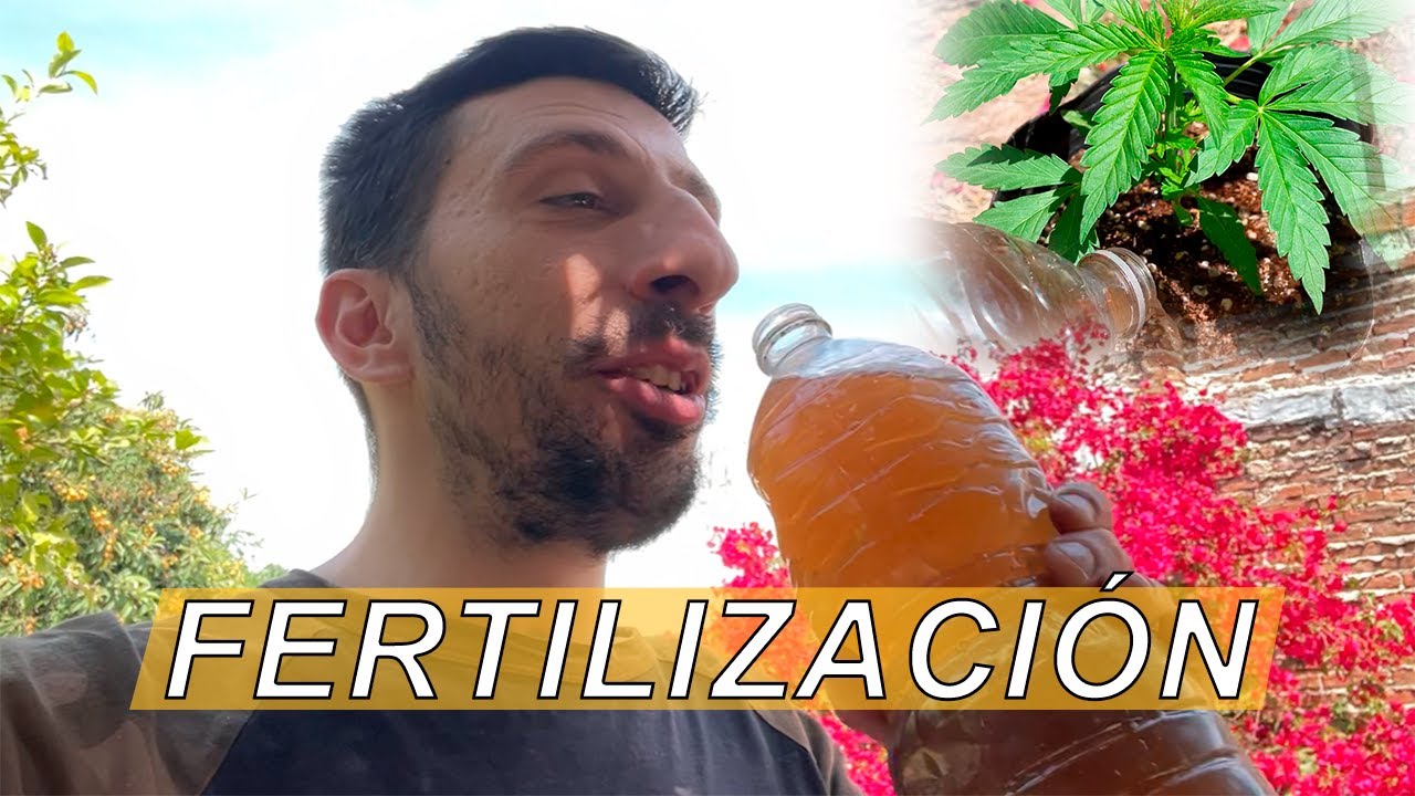 CRECIMIENTO - Cuidados y Fertilización