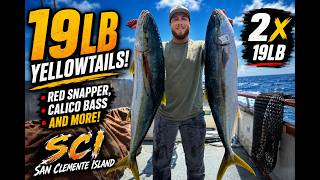 SCI: 19lb Yellowtails! ²