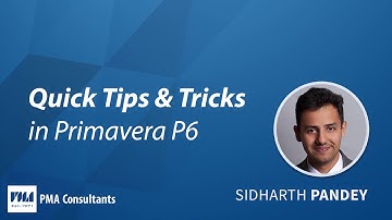 Finding the Open Ends in a Schedule in Primavera P6