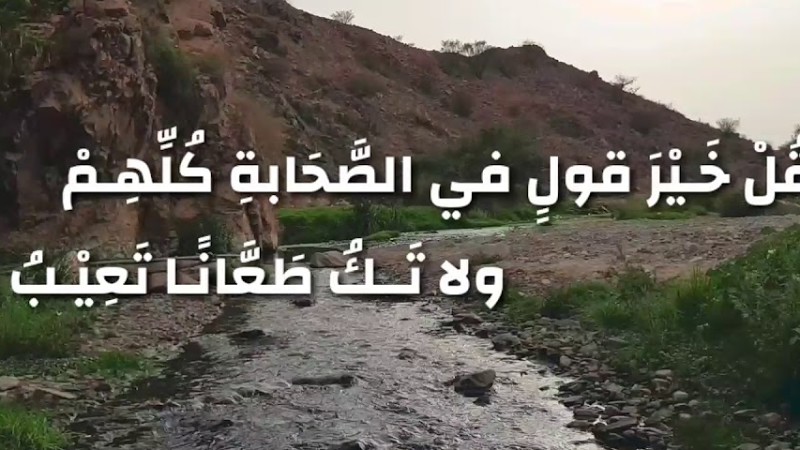 حائية ابن أبي داود -رحمه الله- بصوت الشيخ أسامة الواعظ
