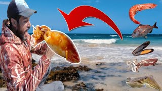 تحدي صيد و جمع أغلى المخلوقات البحرية من أجل طبخ ألذ و أشهى وجبة بحرية على الإطلاق 2023