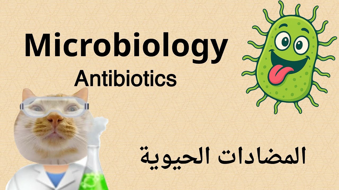 Microbiology | Antibiotic (المضادات الحيويه) - شرح