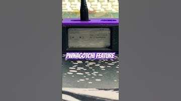 The WebUI is super helpful for the pwnagotchi 😊#rap #techtok #wifi #3dprinting #gadgets #cyberhack