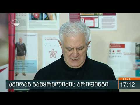 ამირან გამყრელიძის ბრიფინგი