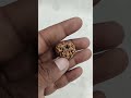 8 MUKHI RUDRAKSHA-KG-615156-9000-3.20 GM