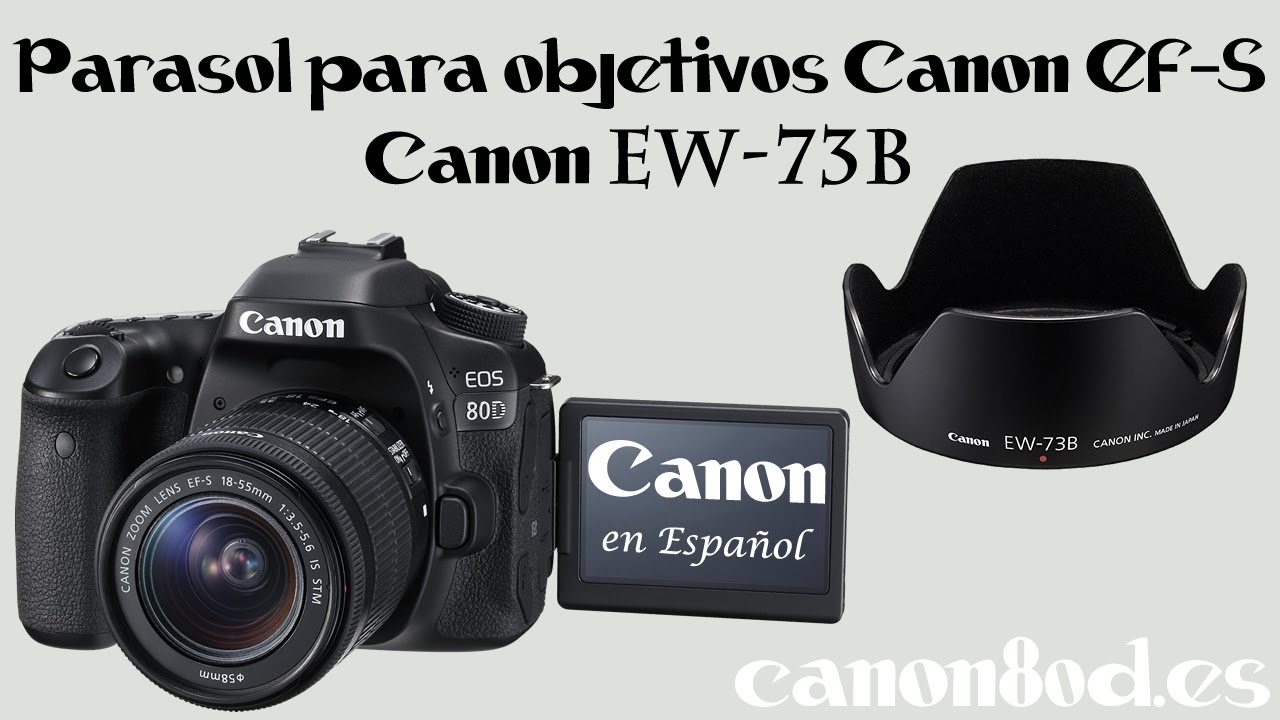 preocupación Inspección Resplandor Parasol para objetivos Canon EF-S - Canon EW-73B - canon80d.es - YouTube