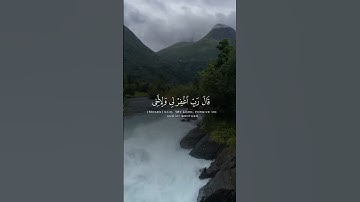 #القرآن_الكريم #تلاوة_خاشعة #المصحف #قران #ادريس_ابكر