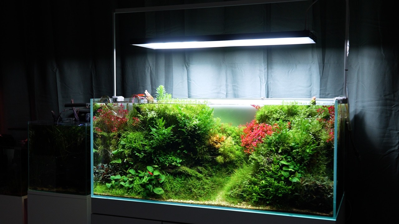 スカイライトジャパン::アクアリウム・パルダリウム・海水水槽用LED