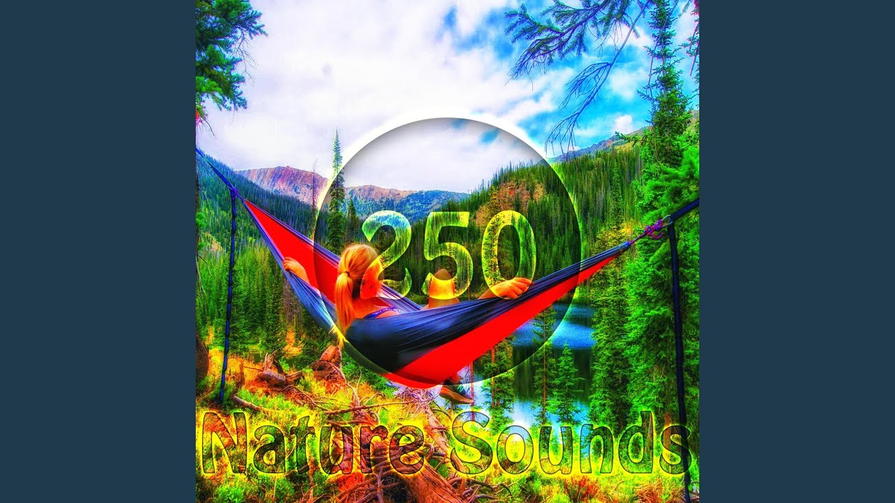 Flood on Mountain Stream