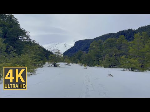 Frosty Mountain Valley 4K (With Ambient Nature Sounds And Music)