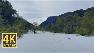 Frosty Mountain Valley 4K (With Ambient Nature Sounds And Music)