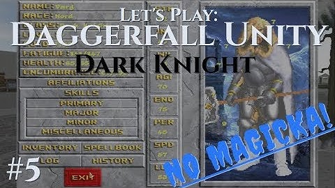 Daggerfall Unity, DARK KNIGHT Part 5: Character overview, goals and priorities