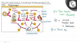 \( \begin{array}{l}\text { 0 } x^{\circ} \text { Li Livis } \\ x^{+...