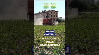 Coldiretti Giovani Impresa Mario Castelli Raccolta Barbabietole