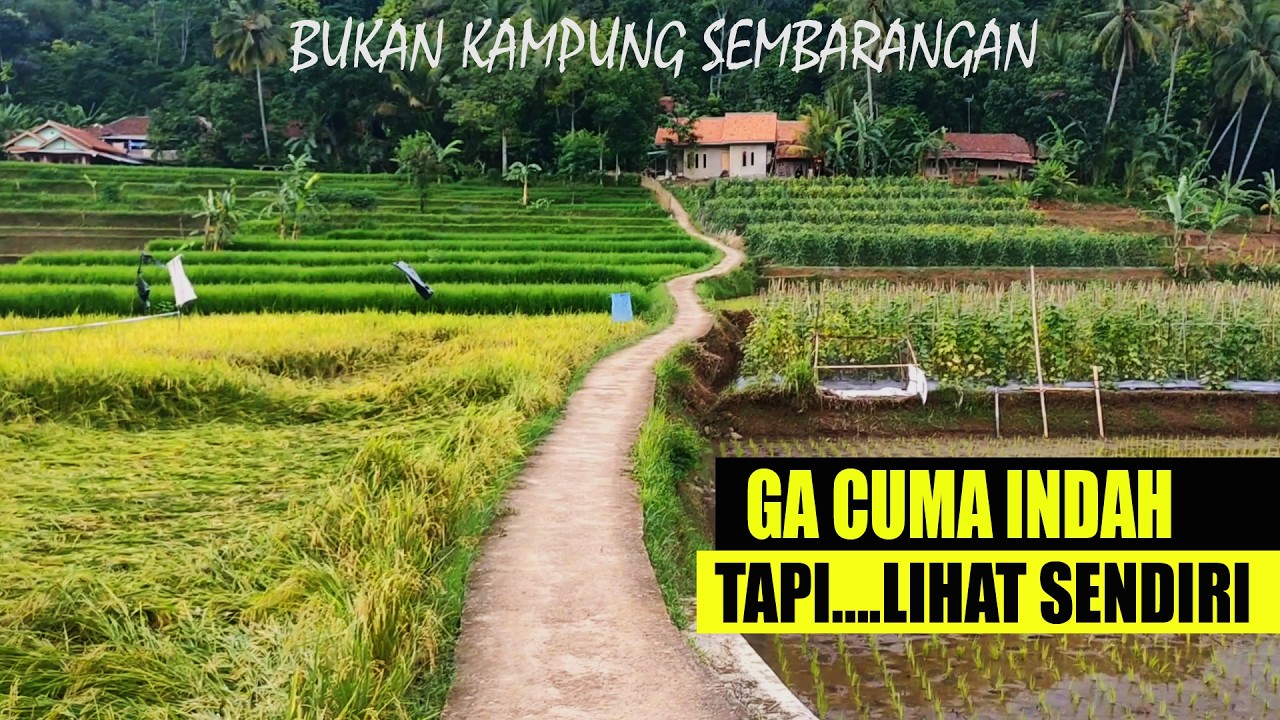 KAMPUNG INI BIKIN KANGEN YANG MUDIK - CIANJUR VIEW