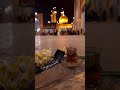 اماه يا زهراء يحيى عفاره محمد باقر الخاقاني ام الوجود ستوريات حسينيه حالات واتساب