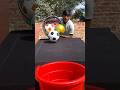 best futboll roll family challenges ✅ #short #game