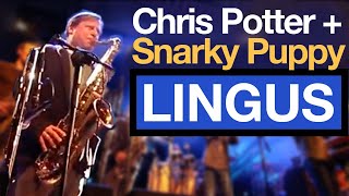 Chris Potter shreds “Lingus” with Snarky Puppy