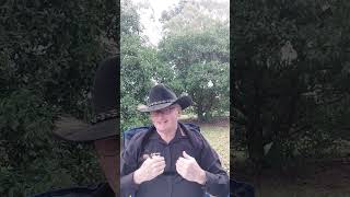 Week 28 Update Brian McManus Real Estate