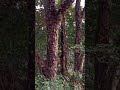 What's nature escape?  #nature