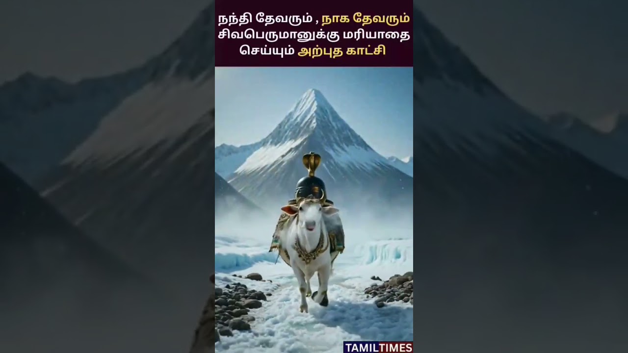 🐂 நந்தி & நாக தேவர் சிவனை வணங்கும் தரிசனம் 🐍Nandi & Naga Devotion to Lord Shiva ✨🙏