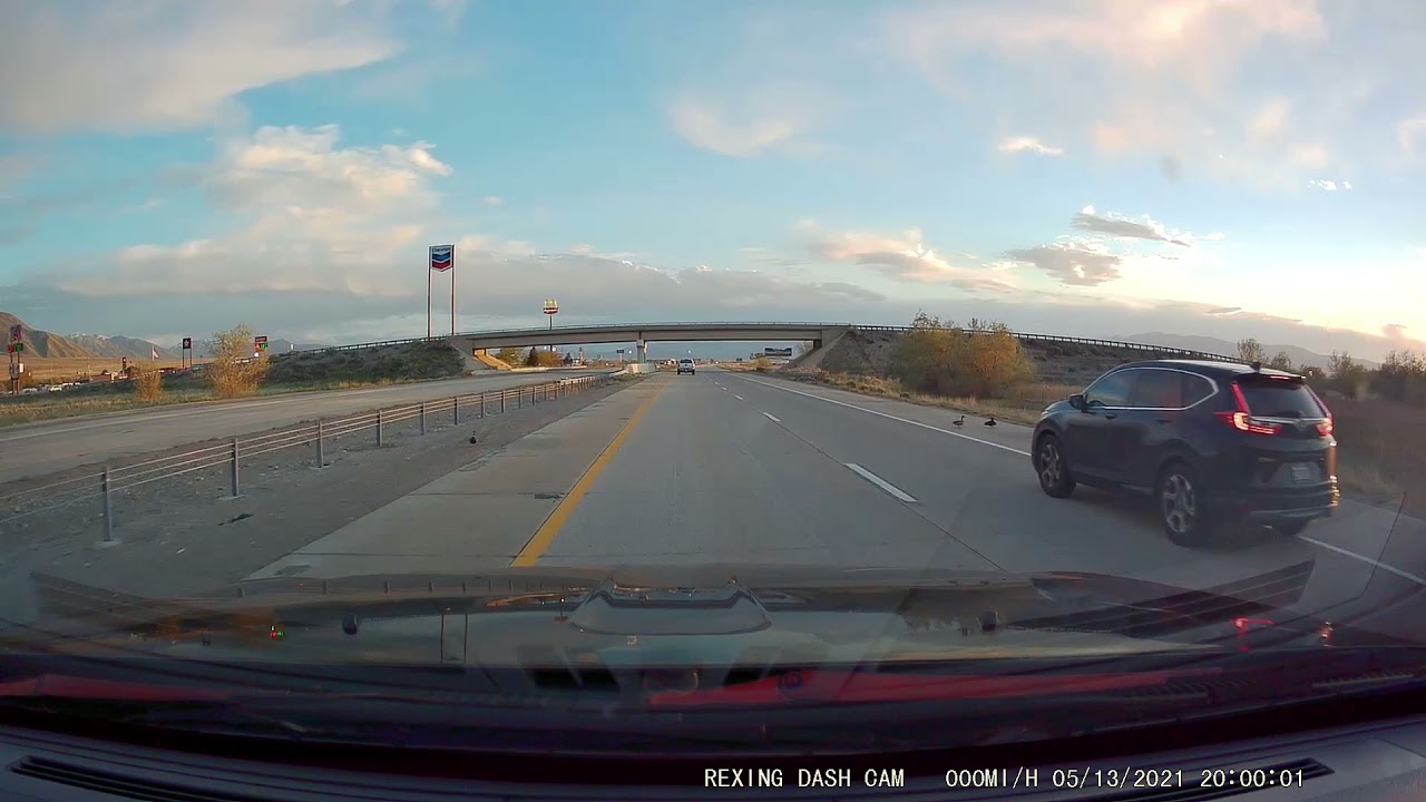 Driver stops on freeway for ducks to cross.