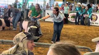 The final pig show 