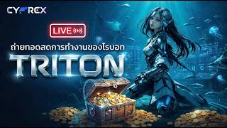 Live โรบอทเทรดทอง TRITON [30-04-2026] | CYFREX