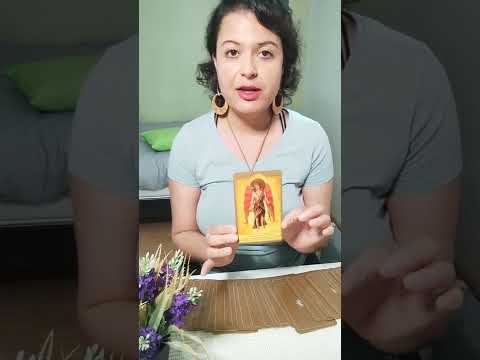 Conselho do tarot #4