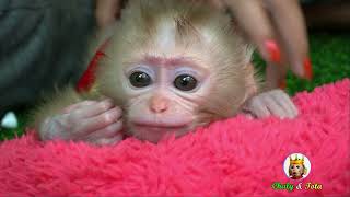 Cutest Girl Nun Very Angry When Mom Try Stop She Thumb