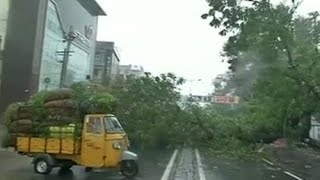 Cyclone Hudhud: Massive uprooting of trees due to strong winds in Visakhapatnam