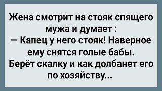 Жена Смотрит На Стояк Спящего Мужа! Сборник Свежих Анекдотов! Юмор!