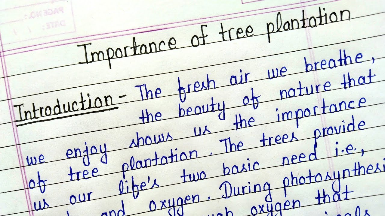 tree plantation essay 300 words