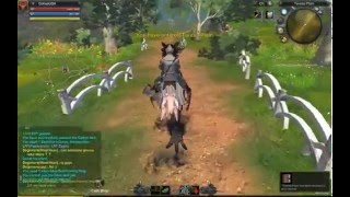 RaiderZ 37 Ingen Quest: Explorer's Guide Beginners