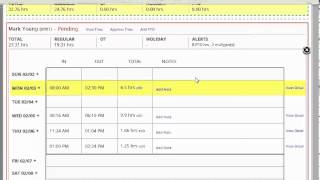 HUB Admin Viewing Timesheet of Employee