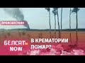 Очень странный дым над крематорием в Минске
