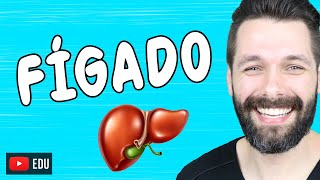 FÍGADO - Anatomia e Funções - Sistema digestório, endócrino etc. | Biologia com Samuel Cunha FÍGADO - Anatomia e Funções - Sistema digestório, endócrino etc. | Biologia com Samuel Cunha