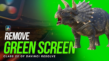 How to REMOVE Green Screen in Davinci Resolve - Class 20 | Hindi/Urdu Tutorial 2024