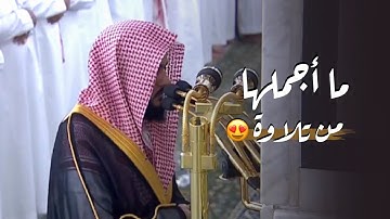 كمال الأداء وجمال التلاوة! د. عبدالله القرافي من سورة فاطر | عشاء السبت 11-12-1446هـ