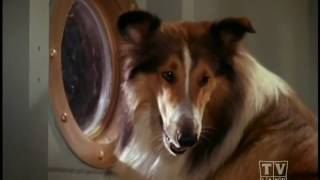 Lie & Cory Season 13 Eps.7 Lie The Voyager Prt.2