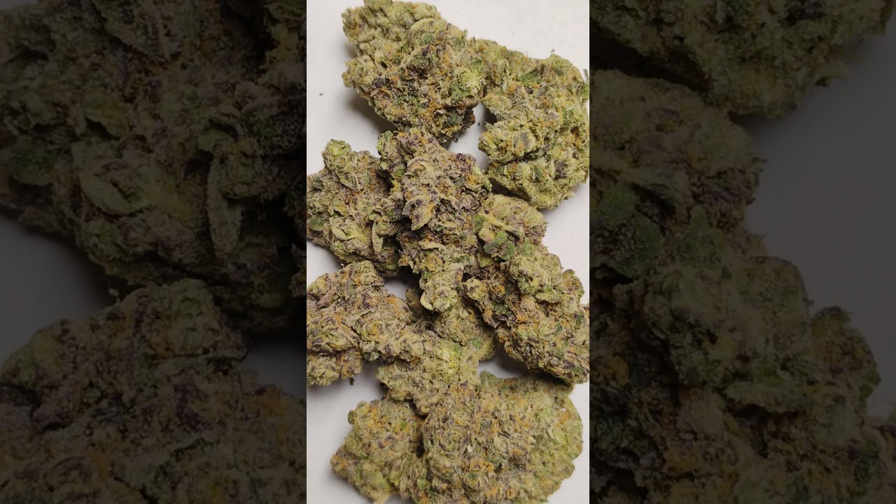 🔥Payton's Pie 🥧🔥Cannabis strain review/W Dr. Greenbody