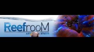 Animated Banner Sample