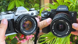 Turn a Mirrorless Full Frame Camera into a 35mm Film SLR