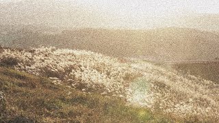 최유리 - Track9 (이소라)