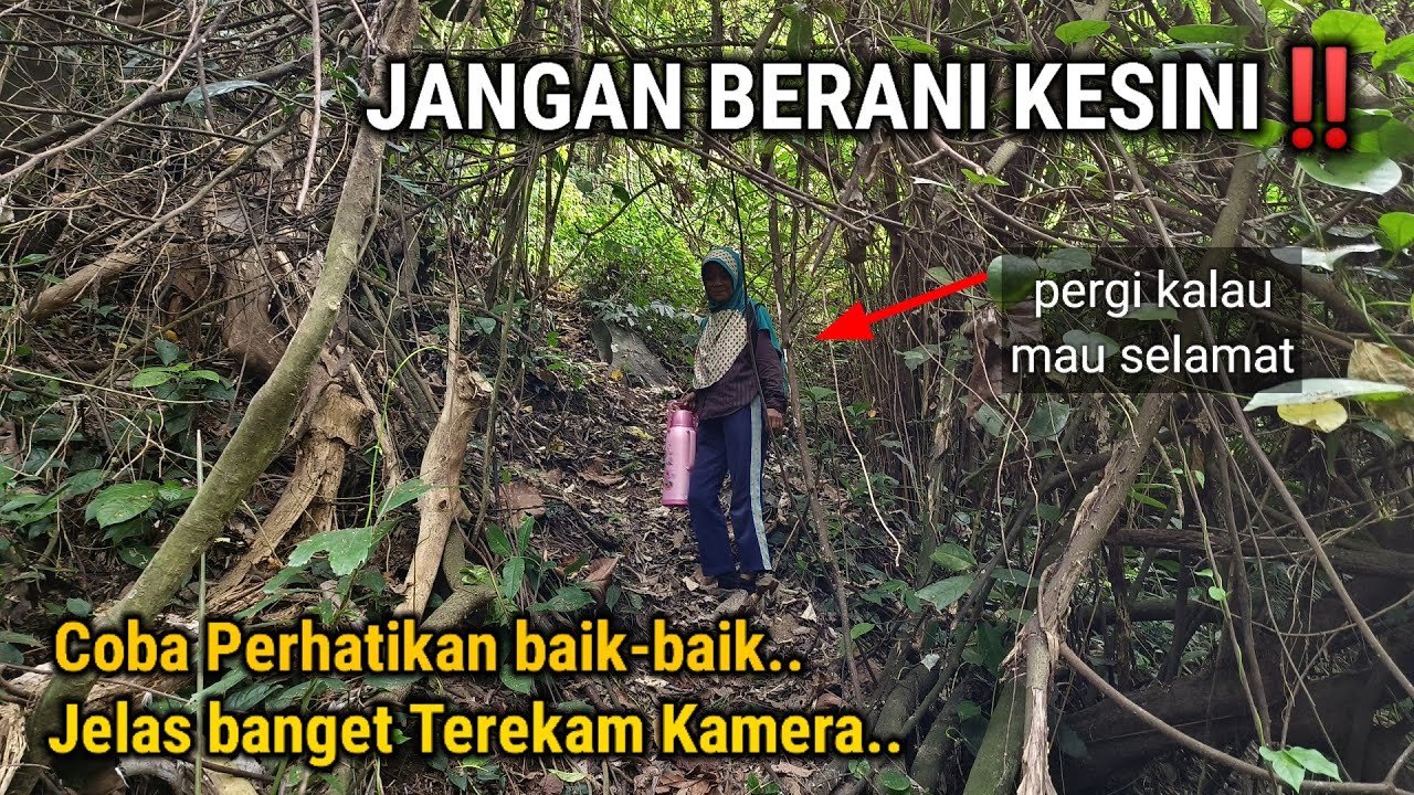 TERJEBAK DI HUTAN BERHANTU!! TERNYATA ADA ORANG BERTAHAN 24 JAM DI HUTAN BELANTARA