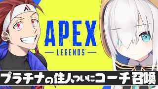 【APEX 】プラチナの住人 ついにコーチ召喚！！【アルス・アルマル/にじさんじ】
